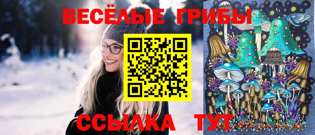Сорочинск  Галлюциногенные грибы мицелий  Вход с VPN 